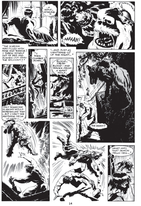 Issue 1994 - Fortnightly, 2025