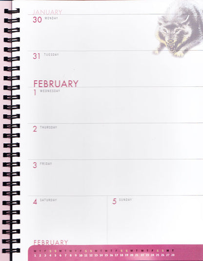 The Phantom Diary 2017 - for collectors!